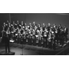  Dresdner Kammerchor
