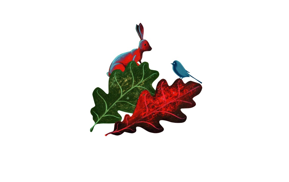 Illustration zu »Bunt sind schon die Wälder« von Christoph Mett
