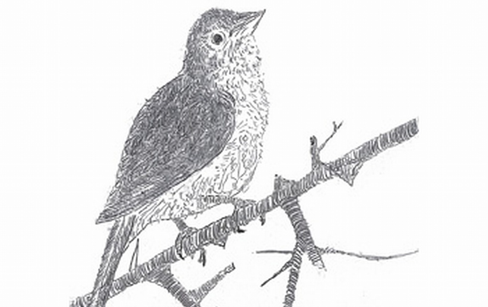 Illustration zu »Es singt wohl ein Vöglein« von Frank Walka