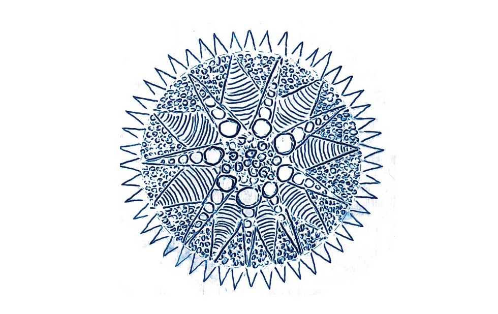 Illustration zu »Tuu, tuu, tupakkarulla« von Frank Walka