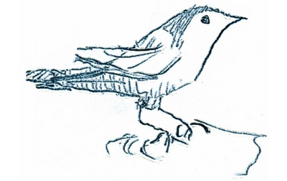 Illustration zu »Shlof main fegele (int.)« von Frank Walka